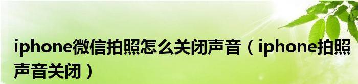 如何关闭苹果手机微信拍照声音（简单操作让拍照更加私密）